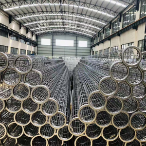Lồng lọc bụi